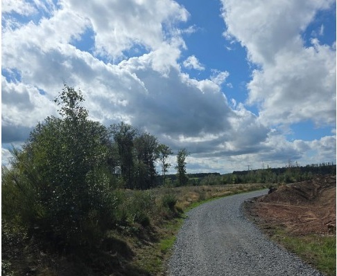 Windpark Olpe – Externe Zuwegung